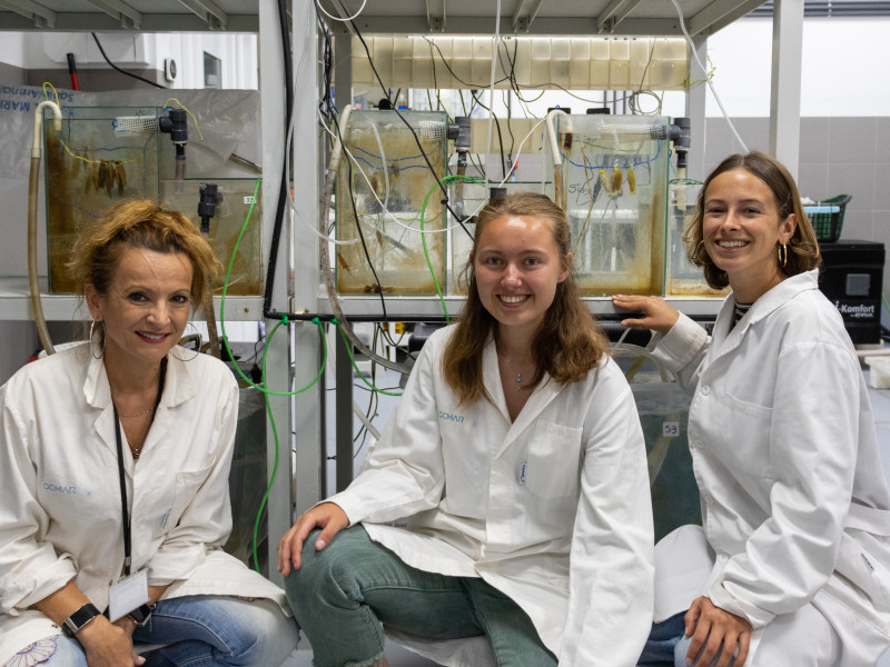 Leila Kopplin and Axelle de Boeck working under the supervision of Zélia Velez