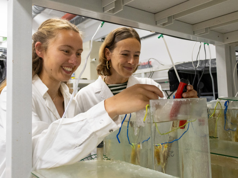 Leila Kopplin and Axelle de Boeck working under the supervision of Zélia Velez