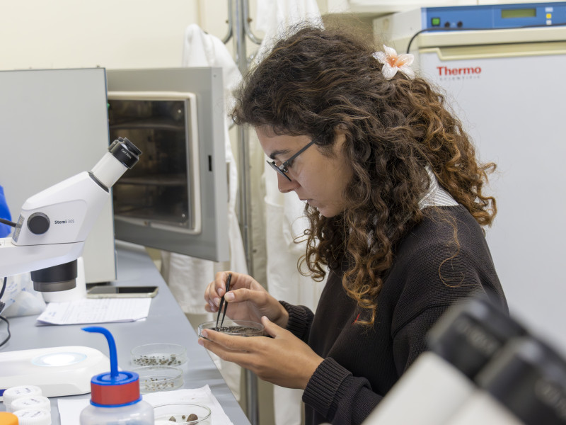 Manuela Cristaldi within the RestoreSeagrass project under the supervision of João Neiva and Duarte Frade