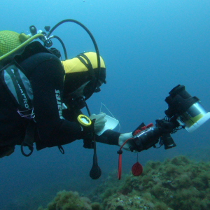 Dive Center - David Abecasis