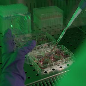 Detail of researcher's hand at work