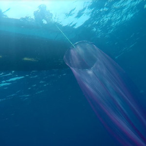 Plankton net