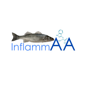 Aquagroup
