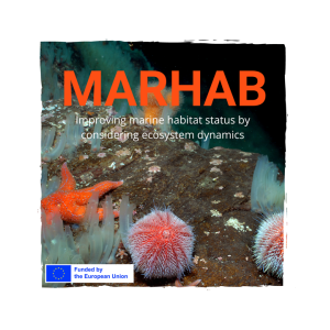 MARHAB_image
