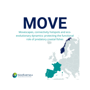 MOVE