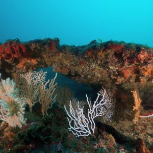 Underwater habitat