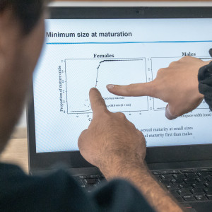 Pointing to a graph
