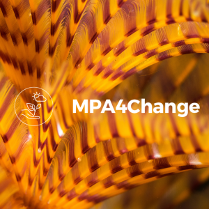 Espirografo_JoaoRodrigues_MPA4Change