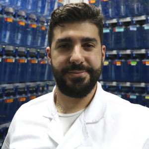 Alessio
