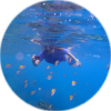 Profile picture for user cmvinagre