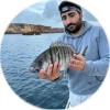 Profile picture for user jcpontes