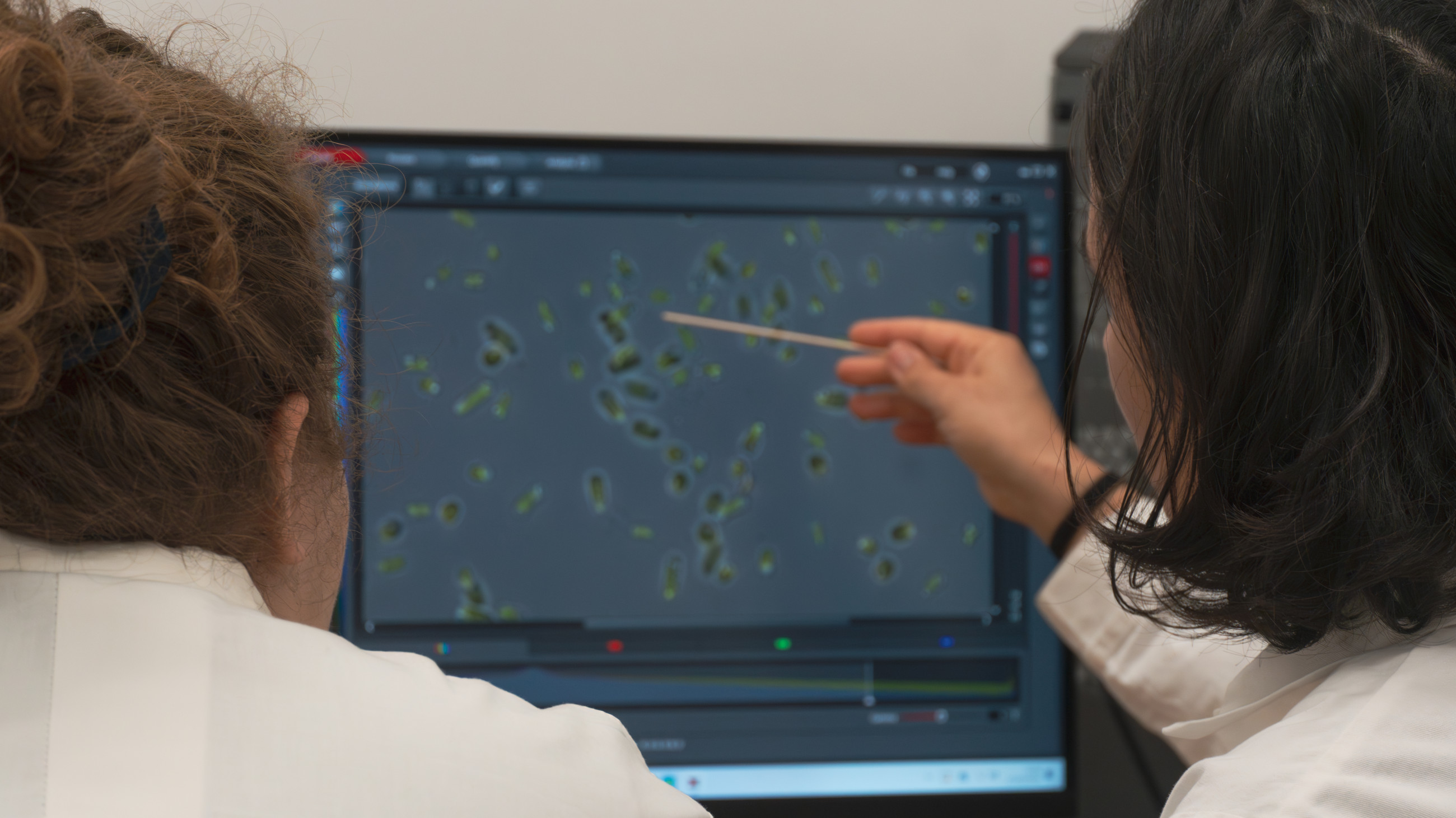 Researchers analysing bioimaging data on a screen
