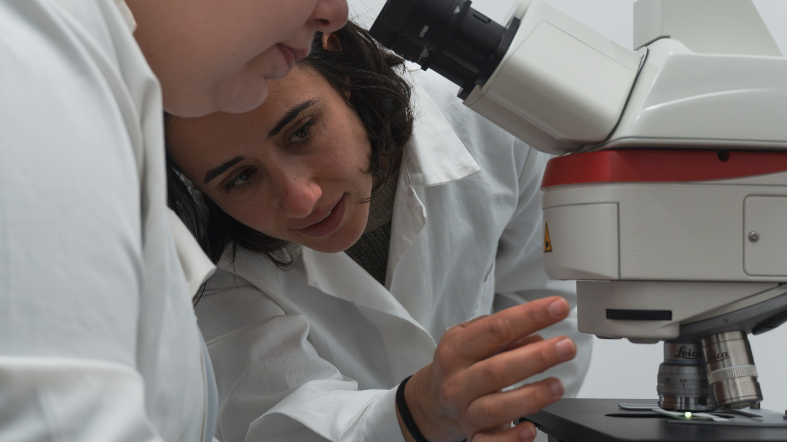 Researcher working with sample under the microscope