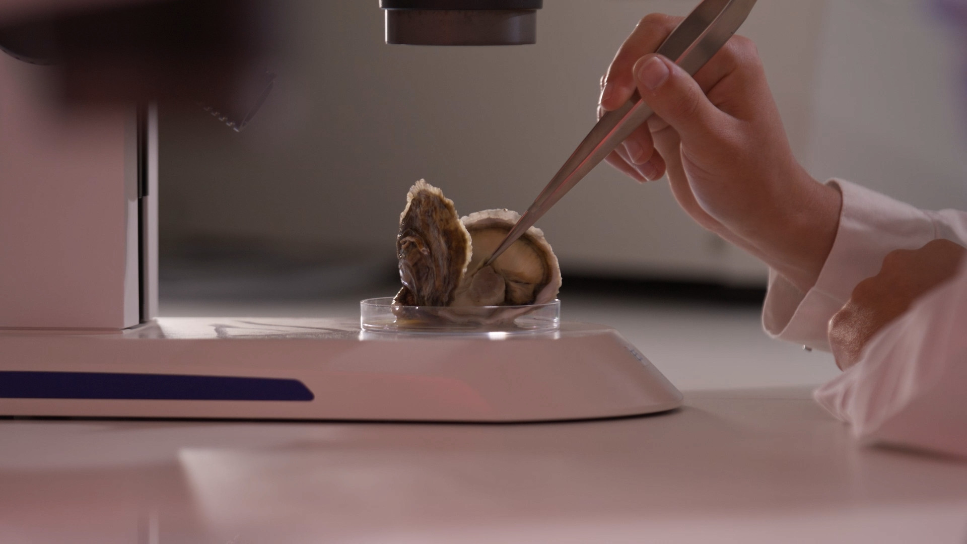 Researcher working with sample under the microscope