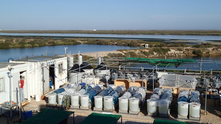 Estação de experimentação do Ramalhete