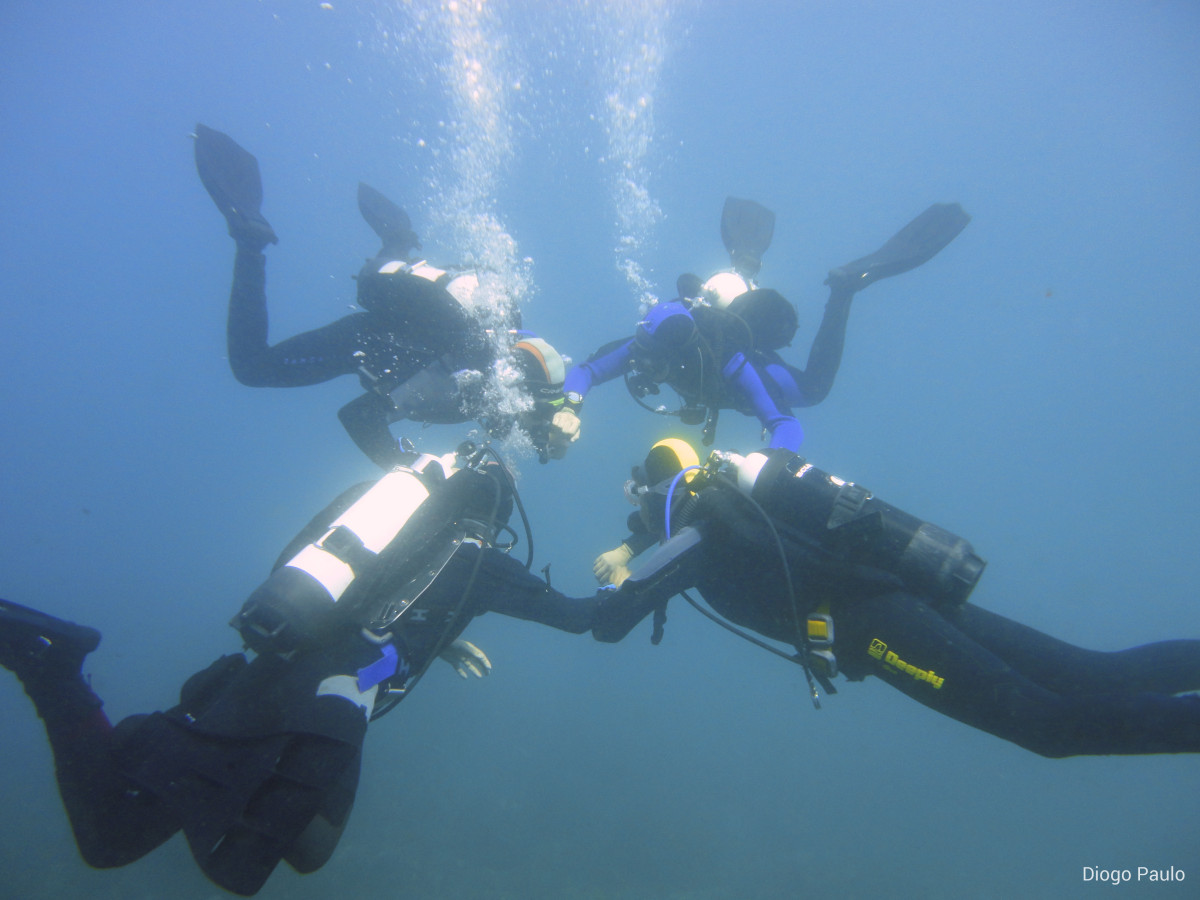 Group of 4 divers holding hands forming a circle