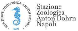 STAZIONE ZOOLOGICA ANTON DOHRN, SZN