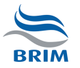 BRIM