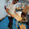 Voluntariado CCMAR Banco Alimentar
